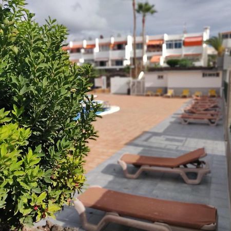 Annina - Chaparral Tenerife Costa del Silencio Eksteriør billede
